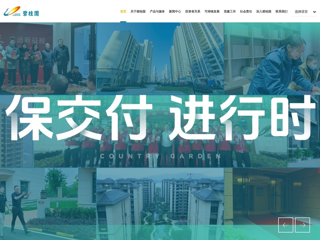 碧桂园控股有限公司 截图