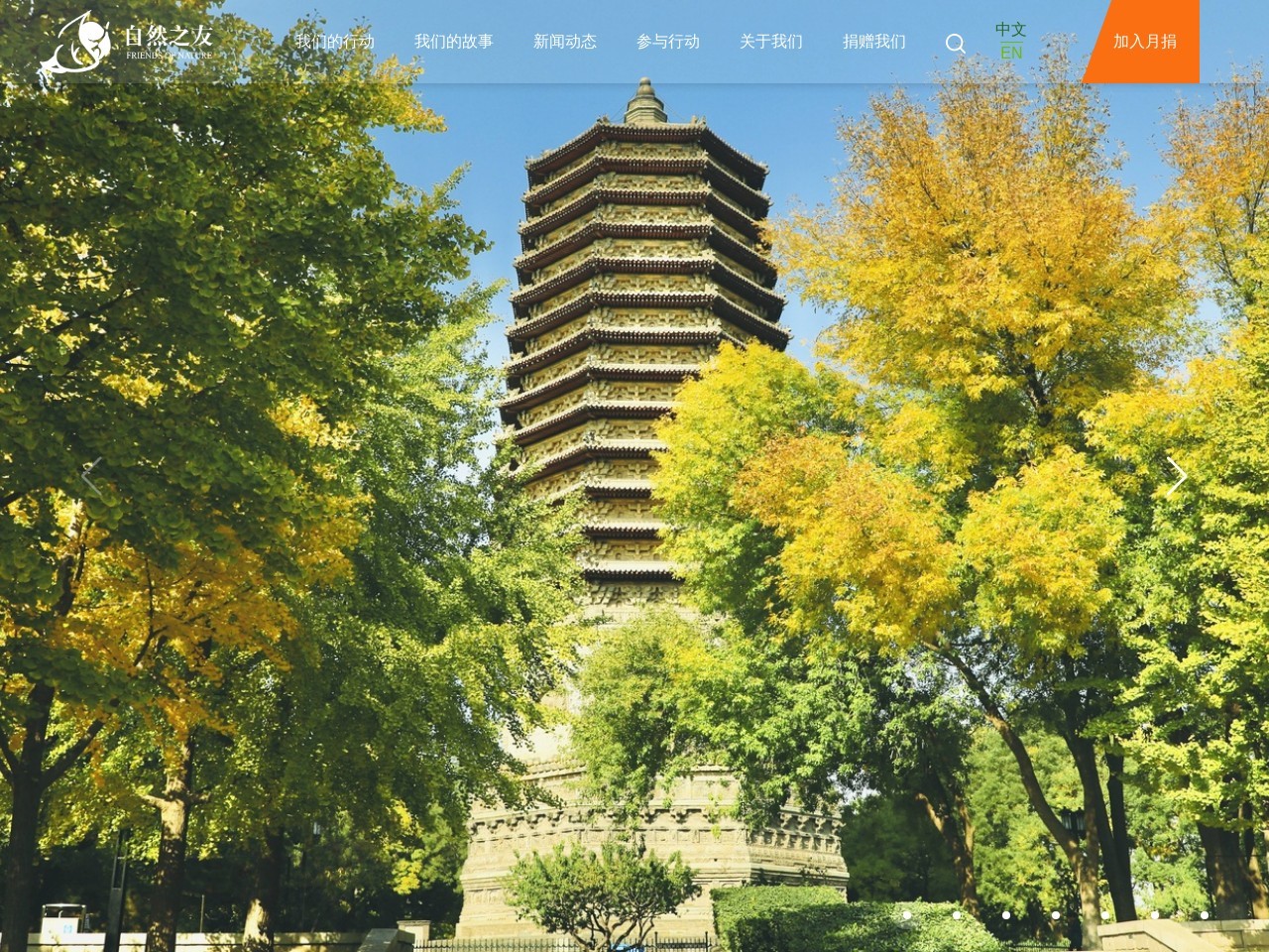 绿色之友网站截图