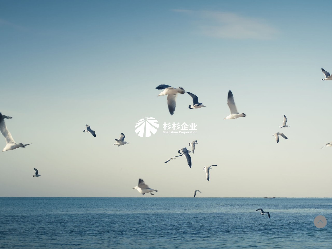 杉杉集团有限公司 截图