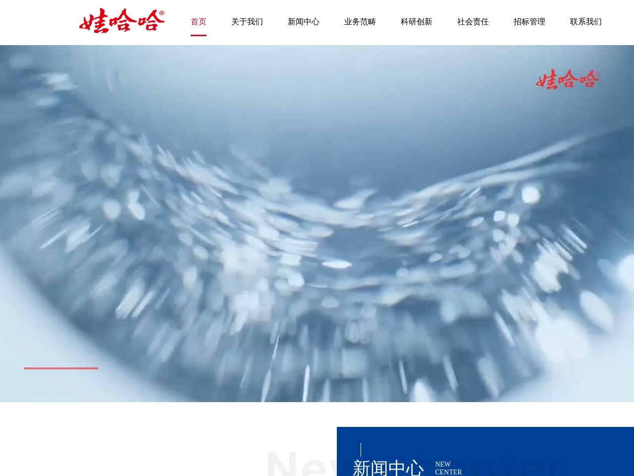 娃哈哈集团有限公司